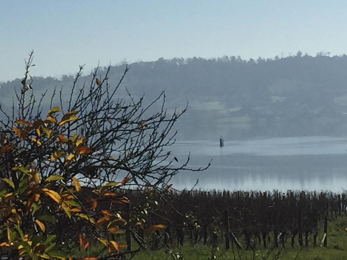 Amble'A'While On Tamar Apartman Rosevears Kültér fotó